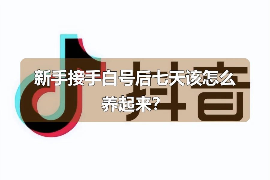 新手接手白号后七天该怎么养起来?